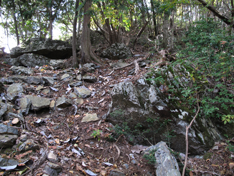 20171102hike (52)